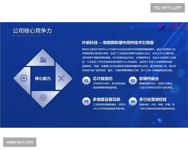 垂直领域内容深度挖掘,服务细分受众
